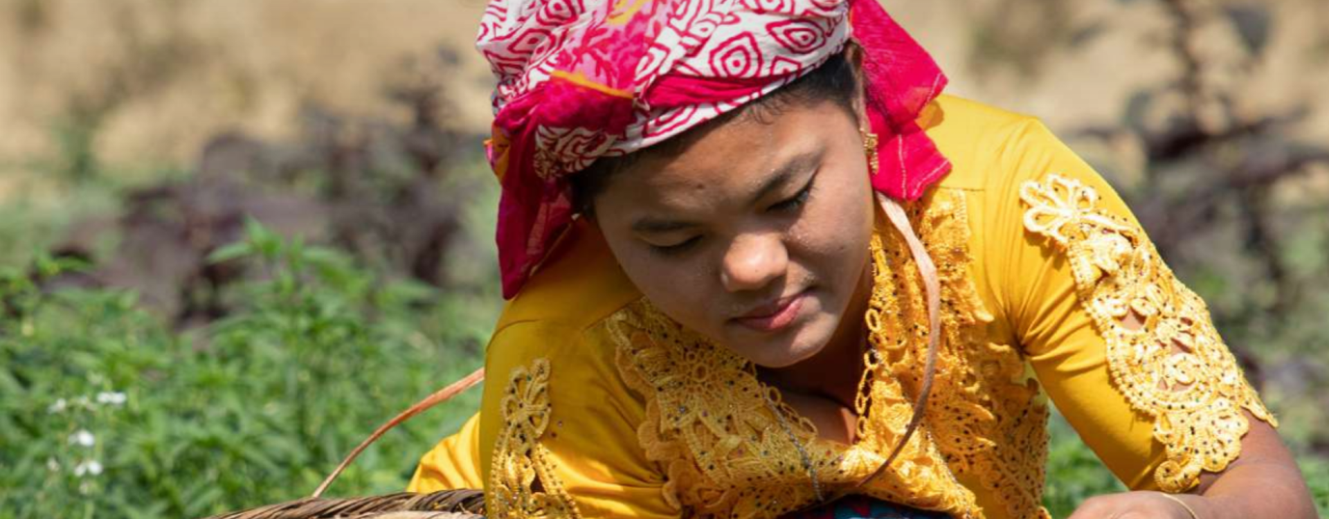 Global Roadmap for Refugee Entrepreneurship